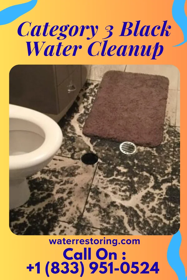 Category 3 Black Water Cleanup in Marshall, MO